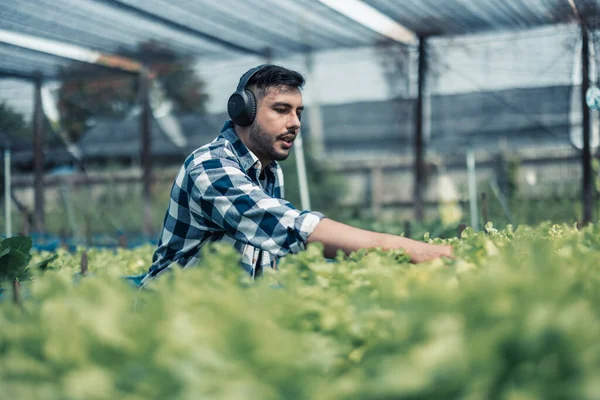 Landarbeiter Verbessern Eine Gesunde Work Life Balance Indem Sie Musik — Stockfoto
