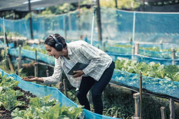 Γεωργικός Εργάτης Ενισχύει Την Υγιή Ισορροπία Εργασίας Ζωής Ακούγοντας Μουσική — Φωτογραφία Αρχείου