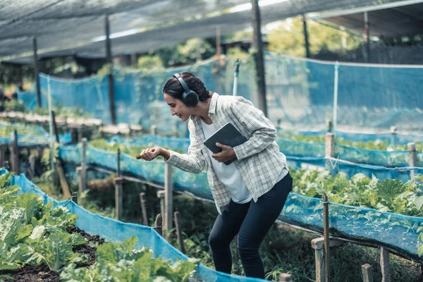 Los Trabajadores Agrícolas Mejoran Equilibrio Entre Trabajo Vida Escuchar Música — Foto de Stock