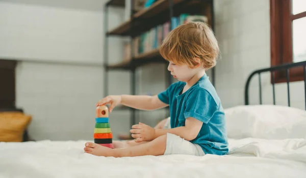 楽しい教育のおもちゃや建物のブロックであることとは別に 子供が脳を発達させ 手の目の調整を改善し 細かい運動スキルを向上させ 集中力を高め 創造性と問題解決スキル — ストック写真