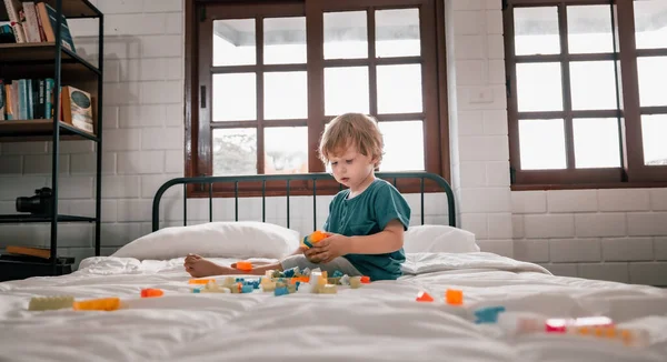재미있는 교육용 장난감 블록을 만드는 것외에 아이들의 발달에 도움이 능력을 — 스톡 사진