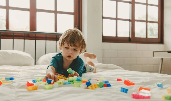 Apart from being fun educational toys and building blocks help kid develop brain, improve hand eye coordination, enhance fine motor skills, boost concentration, creativity and problem solving skills