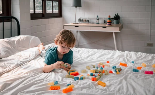 Apart from being fun educational toys and building blocks help kid develop brain, improve hand eye coordination, enhance fine motor skills, boost concentration, creativity and problem solving skills