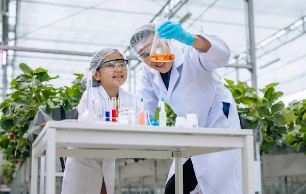 Nachwuchswissenschaftler Lernen Neugierig Die Farbe Von Lösungen Reagenzglas Beobachten Testen — Stockfoto