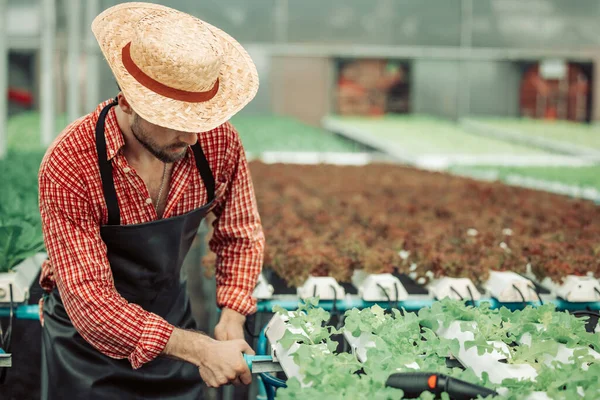 Ιδιοκτήτης Του Υδροπονικού Αγροκτήματος Διενεργεί Τεχνική Επιθεώρηση Χρησιμοποιώντας Εύχρηστα Εργαλεία — Φωτογραφία Αρχείου