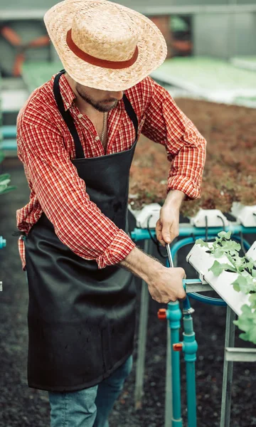 Hydroponic Farm Owner Conducts Technical Inspection Using Handy Tools Secure — Stock Photo, Image