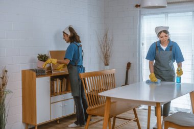 Hevesli ev temizlikçisi kadın çeşitli görevlerde sorumluluk sahibi. Paspas, süpürge, çamaşır makinesi, temizlik malzemeleri, temizlik malzemeleri mobilya, cam, zemin, giysi, bulaşık....