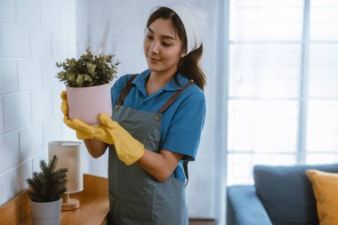 Hevesli ev temizlikçisi kadın çeşitli görevlerde sorumluluk sahibi. Paspas, süpürge, çamaşır makinesi, temizlik malzemeleri, temizlik malzemeleri mobilya, cam, zemin, giysi, bulaşık....