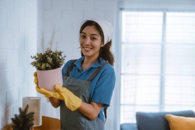 Hevesli ev temizlikçisi kadın çeşitli görevlerde sorumluluk sahibi. Paspas, süpürge, çamaşır makinesi, temizlik malzemeleri, temizlik malzemeleri mobilya, cam, zemin, giysi, bulaşık....