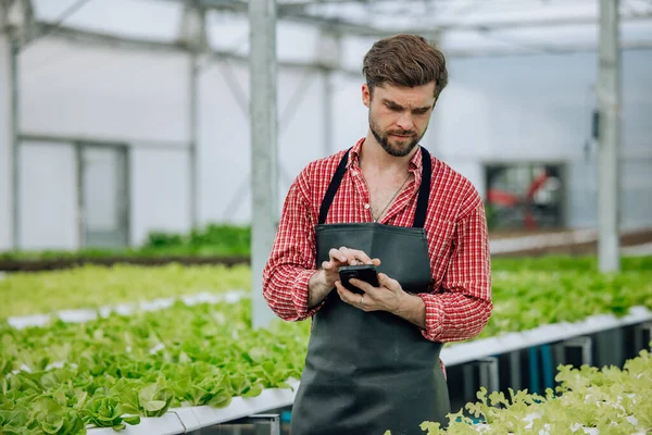 Veggie farm owner, calculate resources, profit, loss. Monitor performance, expenses, forecast income to maximize revenue and control costs. Make decision based on finance and investment strategies.
