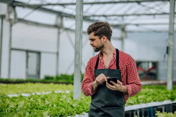 Veggie Farm Owner Calculate Resources Profit Loss Monitor Performance Expenses — Stock Photo, Image