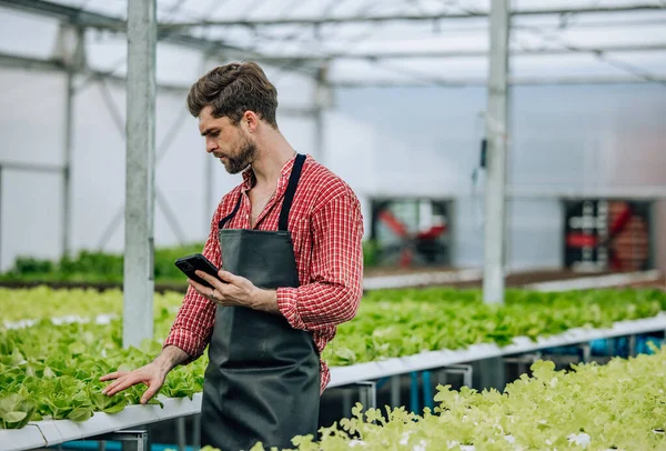 Veggie farm owner, calculate resources, profit, loss. Monitor performance, expenses, forecast income to maximize revenue and control costs. Make decision based on finance and investment strategies.