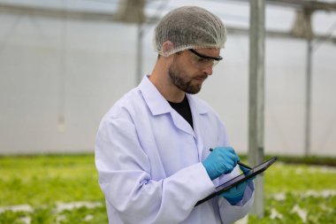 Hidrofonik bilimadamları saf çözümler ve örnekler kullanarak sera ortamında bitki büyümesini ustalıkla hızlandırıyorlar, dikkatle kontrol edilen çevresel koşullar ve son teknoloji donanım.