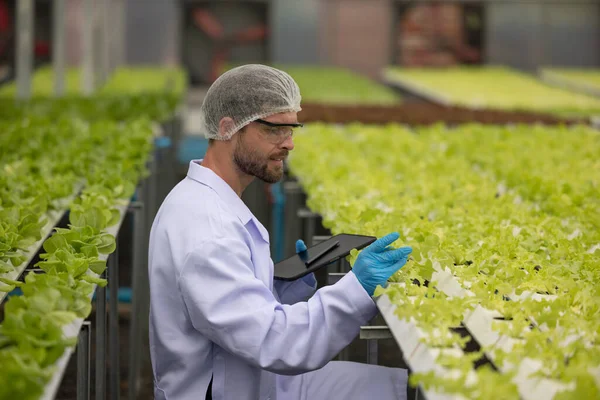 Hydroponic Scientists Expertly Speed Plant Growth Greenhouse Setting Making Use — Stock Photo, Image