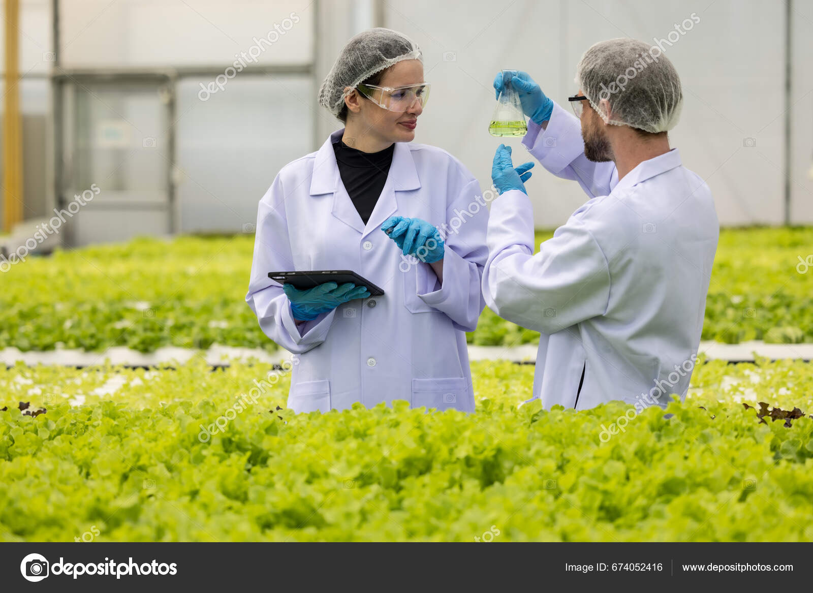 Hydroponic Scientists Meticulous Analyze Sample Solutions Cylindrical