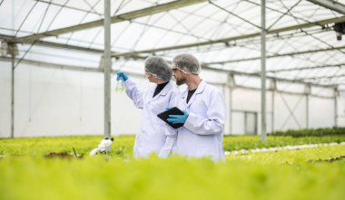 Hidrofonik bilimadamları titizlikle örnek çözümleri silindirik mataralarda analiz ederler. Sürdürülebilir büyüme ve ideal besin konsantrasyonunun sağlanması, büyük tarım amaçlarının gelişmesine yol açmaktadır..