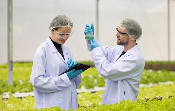 Hydroponic Scientists Meticulous Analyze Sample Solutions Cylindrical Flasks Ensuring Sustainable — Stock Photo, Image