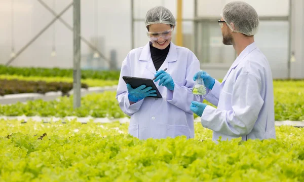 Hydroponic Scientists Meticulous Analyze Sample Solutions Cylindrical Flasks Ensuring Sustainable — Stock Photo, Image
