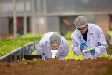 Hidrofonik bilimadamları ve araştırmacılar bitki, sera örnekleri, biyoteknoloji ve biyokimya yöntemlerini kesin inceleme için kullanmak üzere mikroskop ve büyüteç kullanarak deney yapıyorlar.