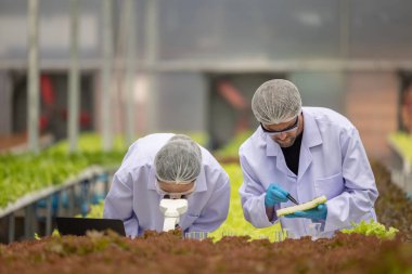 Hidrofonik bilimadamları ve araştırmacılar bitki, sera örnekleri, biyoteknoloji ve biyokimya yöntemlerini kesin inceleme için kullanmak üzere mikroskop ve büyüteç kullanarak deney yapıyorlar.