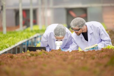 Hidrofonik bilimadamları ve araştırmacılar bitki, sera örnekleri, biyoteknoloji ve biyokimya yöntemlerini kesin inceleme için kullanmak üzere mikroskop ve büyüteç kullanarak deney yapıyorlar.
