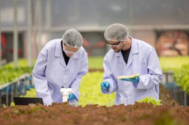 Hidrofonik bilimadamları ve araştırmacılar bitki, sera örnekleri, biyoteknoloji ve biyokimya yöntemlerini kesin inceleme için kullanmak üzere mikroskop ve büyüteç kullanarak deney yapıyorlar.