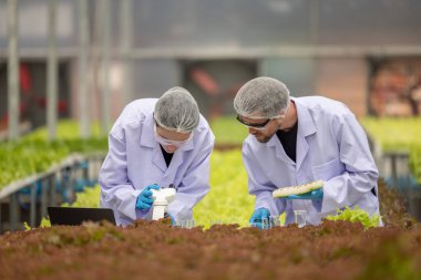 Hidrofonik bilimadamları ve araştırmacılar bitki, sera örnekleri, biyoteknoloji ve biyokimya yöntemlerini kesin inceleme için kullanmak üzere mikroskop ve büyüteç kullanarak deney yapıyorlar.