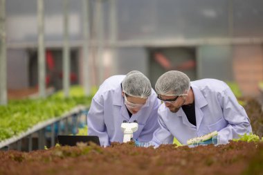 Hidrofonik bilimadamları ve araştırmacılar bitki, sera örnekleri, biyoteknoloji ve biyokimya yöntemlerini kesin inceleme için kullanmak üzere mikroskop ve büyüteç kullanarak deney yapıyorlar.