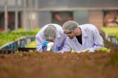 Hidrofonik bilimadamları ve araştırmacılar bitki, sera örnekleri, biyoteknoloji ve biyokimya yöntemlerini kesin inceleme için kullanmak üzere mikroskop ve büyüteç kullanarak deney yapıyorlar.