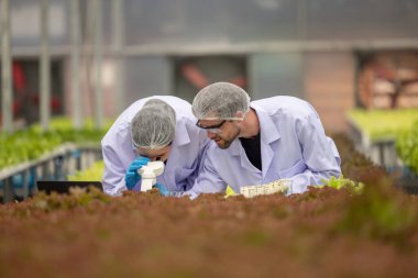 Hidrofonik bilimadamları ve araştırmacılar bitki, sera örnekleri, biyoteknoloji ve biyokimya yöntemlerini kesin inceleme için kullanmak üzere mikroskop ve büyüteç kullanarak deney yapıyorlar.