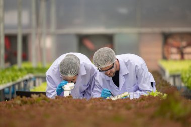 Hidrofonik bilimadamları ve araştırmacılar bitki, sera örnekleri, biyoteknoloji ve biyokimya yöntemlerini kesin inceleme için kullanmak üzere mikroskop ve büyüteç kullanarak deney yapıyorlar.