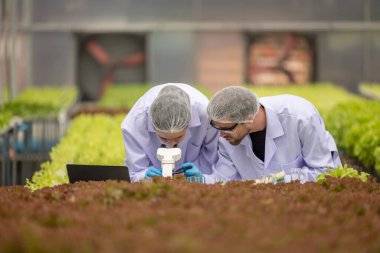 Hidrofonik bilimadamları ve araştırmacılar bitki, sera örnekleri, biyoteknoloji ve biyokimya yöntemlerini kesin inceleme için kullanmak üzere mikroskop ve büyüteç kullanarak deney yapıyorlar.