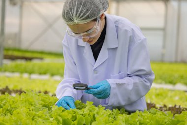 Hidrofonik bilimadamları ve araştırmacılar bitki, sera örnekleri, biyoteknoloji ve biyokimya yöntemlerini kesin inceleme için kullanmak üzere mikroskop ve büyüteç kullanarak deney yapıyorlar.