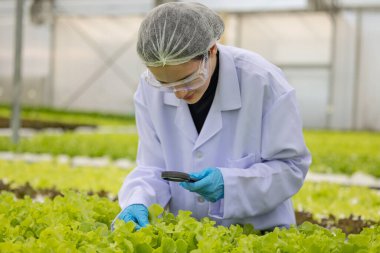 Hidrofonik bilimadamları ve araştırmacılar bitki, sera örnekleri, biyoteknoloji ve biyokimya yöntemlerini kesin inceleme için kullanmak üzere mikroskop ve büyüteç kullanarak deney yapıyorlar.