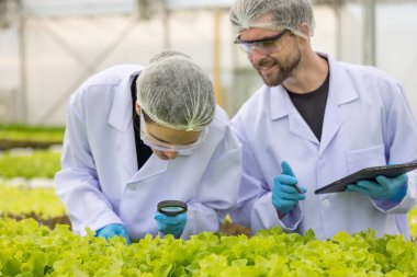 Hidrofonik bilimadamları ve araştırmacılar bitki, sera örnekleri, biyoteknoloji ve biyokimya yöntemlerini kesin inceleme için kullanmak üzere mikroskop ve büyüteç kullanarak deney yapıyorlar.