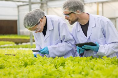 Hidrofonik bilimadamları ve araştırmacılar bitki, sera örnekleri, biyoteknoloji ve biyokimya yöntemlerini kesin inceleme için kullanmak üzere mikroskop ve büyüteç kullanarak deney yapıyorlar.