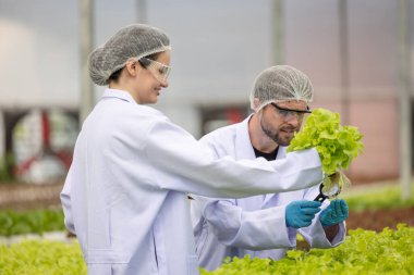 Hidrofonik bilimadamları ve araştırmacılar bitki, sera örnekleri, biyoteknoloji ve biyokimya yöntemlerini kesin inceleme için kullanmak üzere mikroskop ve büyüteç kullanarak deney yapıyorlar.