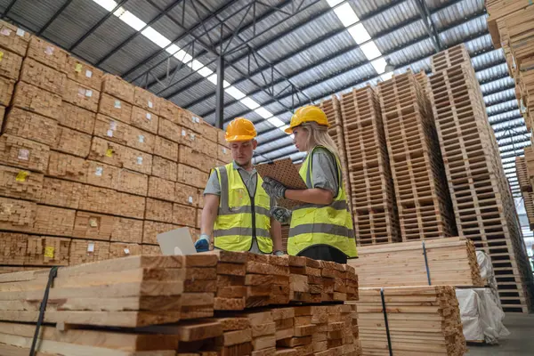 Woodworker Team Verkent Co2 Reductie Initiatieven Waarbij Duurzaamheid Gerecycleerde Materialen — Stockfoto