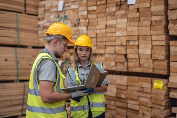 Woodworker Team Verkent Co2 Reductie Initiatieven Waarbij Duurzaamheid Gerecycleerde Materialen — Stockfoto