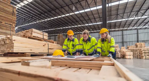 Работники Деревообрабатывающей Промышленности Оценивают Чертежи Выбирают Низкоуглеродные Материалы Следуют Схемам — стоковое фото