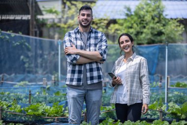 Sebze çiftliğindeki işçiler, ekilecek en iyi ürün türünü ve miktarını belirlemek için toprak koşullarını ve mahsul büyümesini inceliyor. Küçük bir işletme sahibinin günlük planlama ve düzenleme rutini