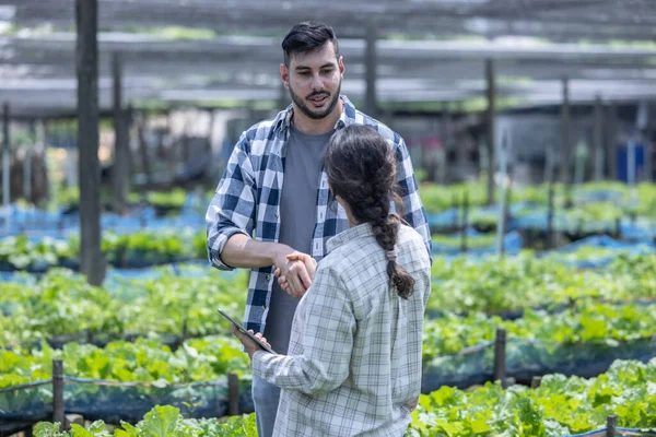 Worker on a vegetable farm examines soil conditions and crop growth to determine the best type and amount of crop to plant. A small business owner\'s daily planning and organizing routine