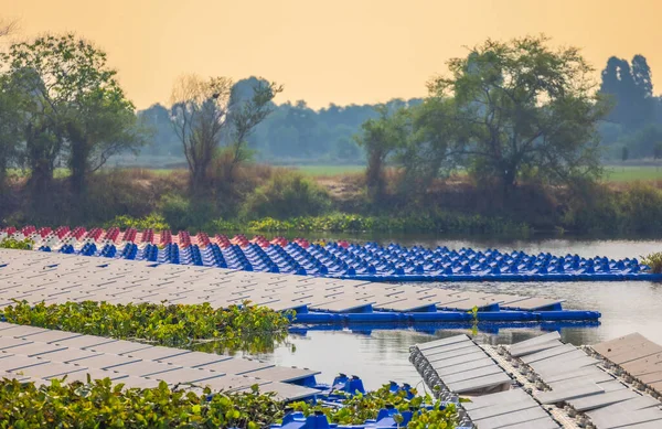Evening Falls Massive Floating Solar Panels Create Arrangement Technology Nature — Stock Photo, Image