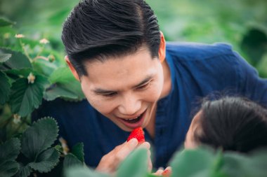 Asyalı bir baba ve kızı, kapalı alandaki yenilikçi bir çiftlikte çilek toplamak için eşleşiyor. Sırayla lezzetli meyveleri yerken çilekleri nasıl topladıklarını paylaştılar..