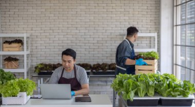 İki sebze satıcısı, biri dizüstü bilgisayarı tutuyor ve diğeri de yapraklı yeşillikleri düzenliyor. Şehir piyasasında verimli bir envanter yönetimi sergiliyorlar..