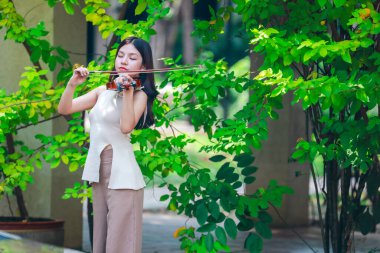 Genç bir Asyalı kadın bereketli yeşilliklerle çevrili huzurlu bir açık hava ortamında kibarca keman çalıyor. Doğada bir müzik konsantrasyonu ve sükunet anı yakalıyorum..