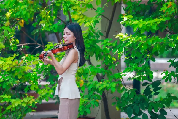 Genç bir Asyalı kadın bereketli yeşilliklerle çevrili huzurlu bir açık hava ortamında kibarca keman çalıyor. Doğada bir müzik konsantrasyonu ve sükunet anı yakalıyorum..