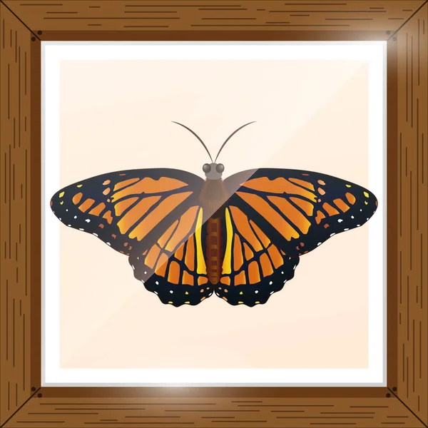 Motýl Barevným Designem Růžové Pozadí — Stockový vektor