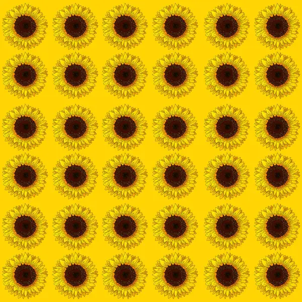 Sarı Arkaplanda Kusursuz Ayçiçeği Deseni
