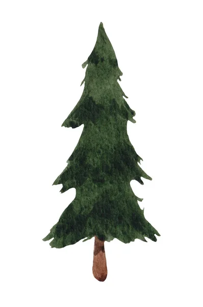 Vánoční Strom Akvarel Smrk Nový Rok Bílém Pozadí Pro Design — Stock fotografie